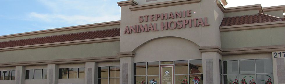 Stephanie Animal Hospital